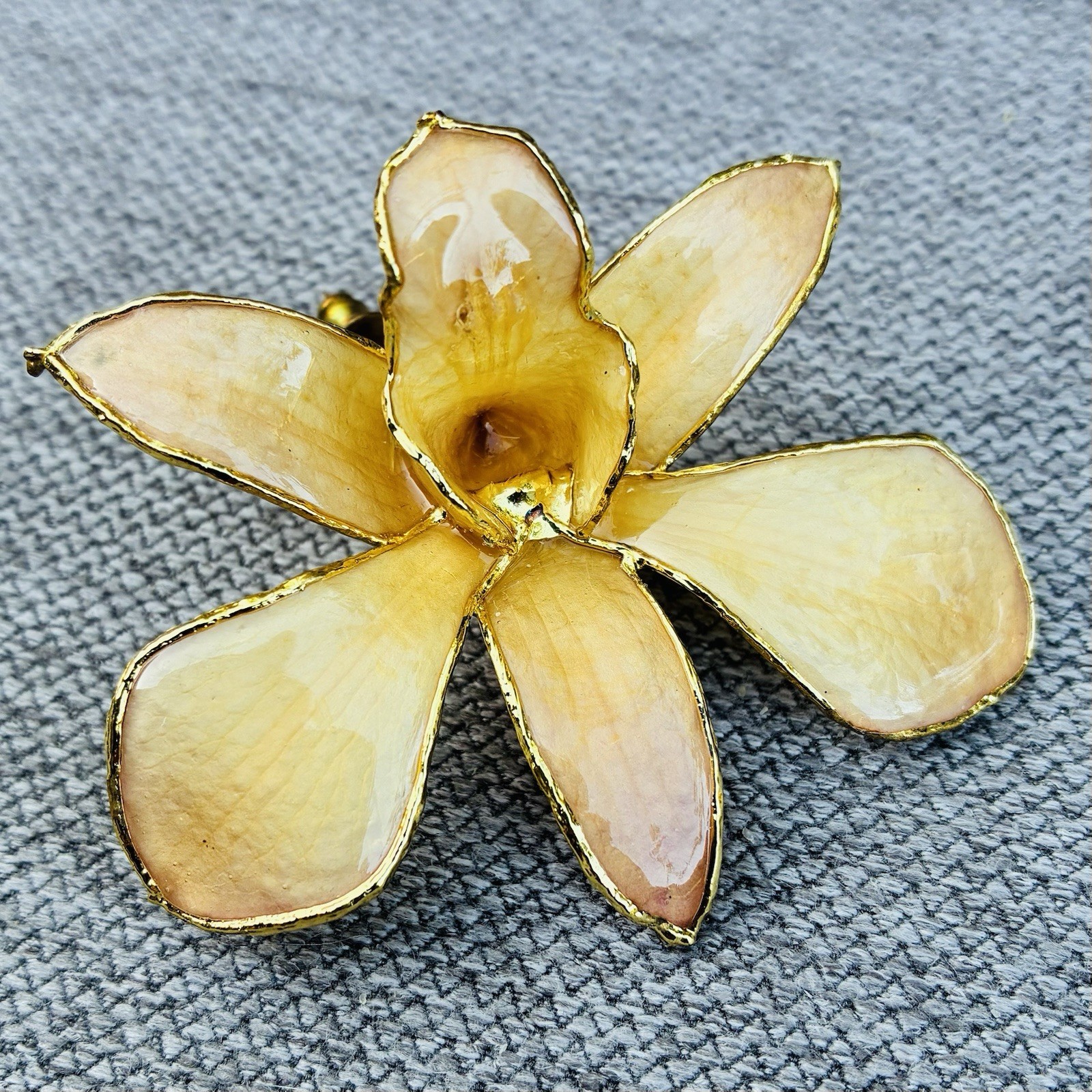 1980’s Vintage Natural Preserved Orchid Brooch Lapel Pin 24k gold plate.