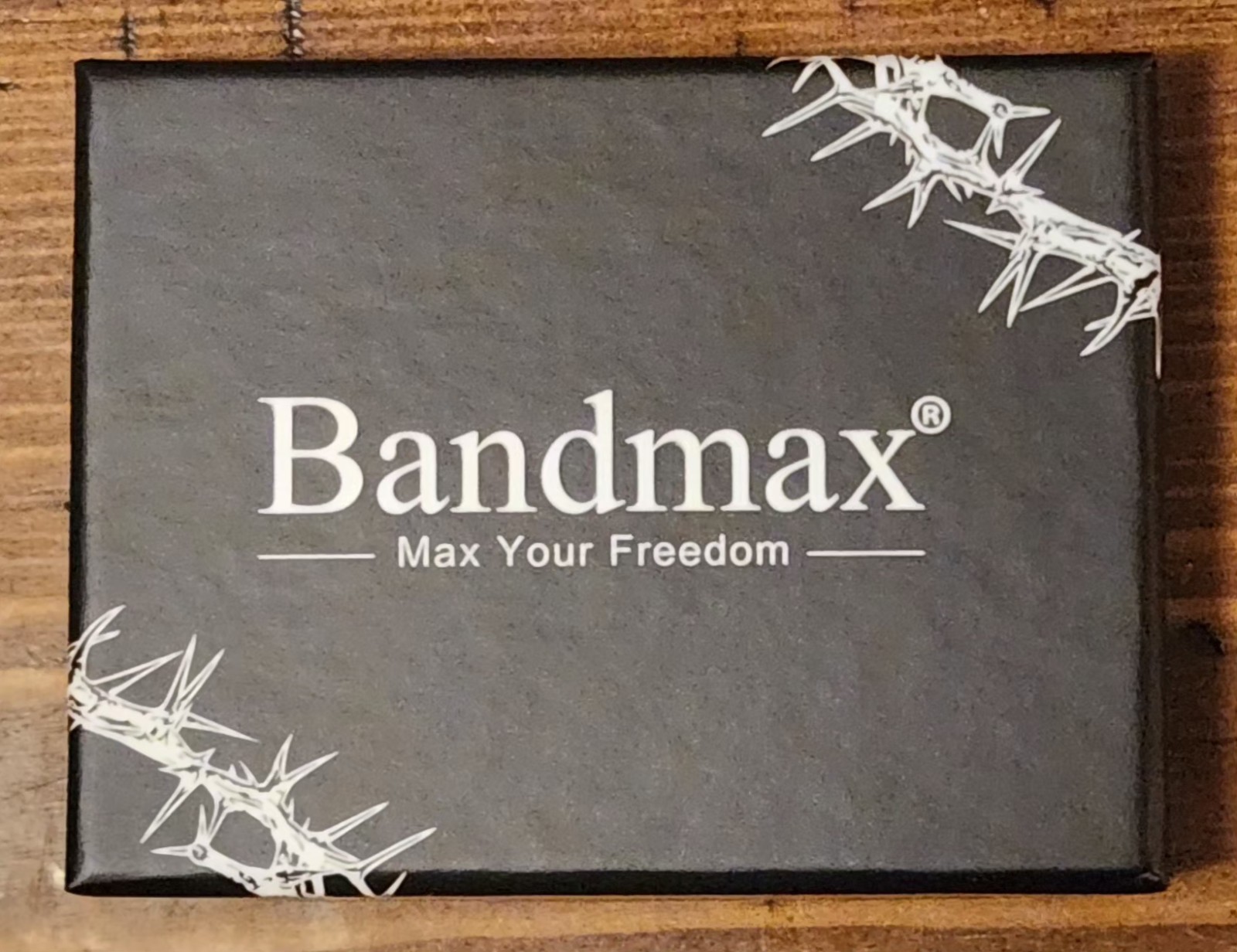Bandmax Caduceus Pendant and Chain Silver Tone