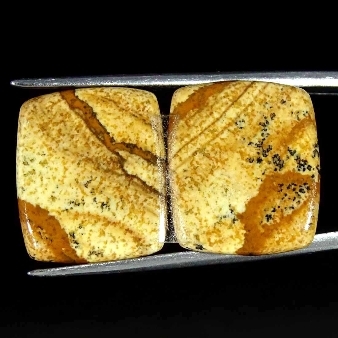 14.90Cts Natural Picture Jasper Cabochon Loose Gemstone Pair 14x17x3mm Cushion