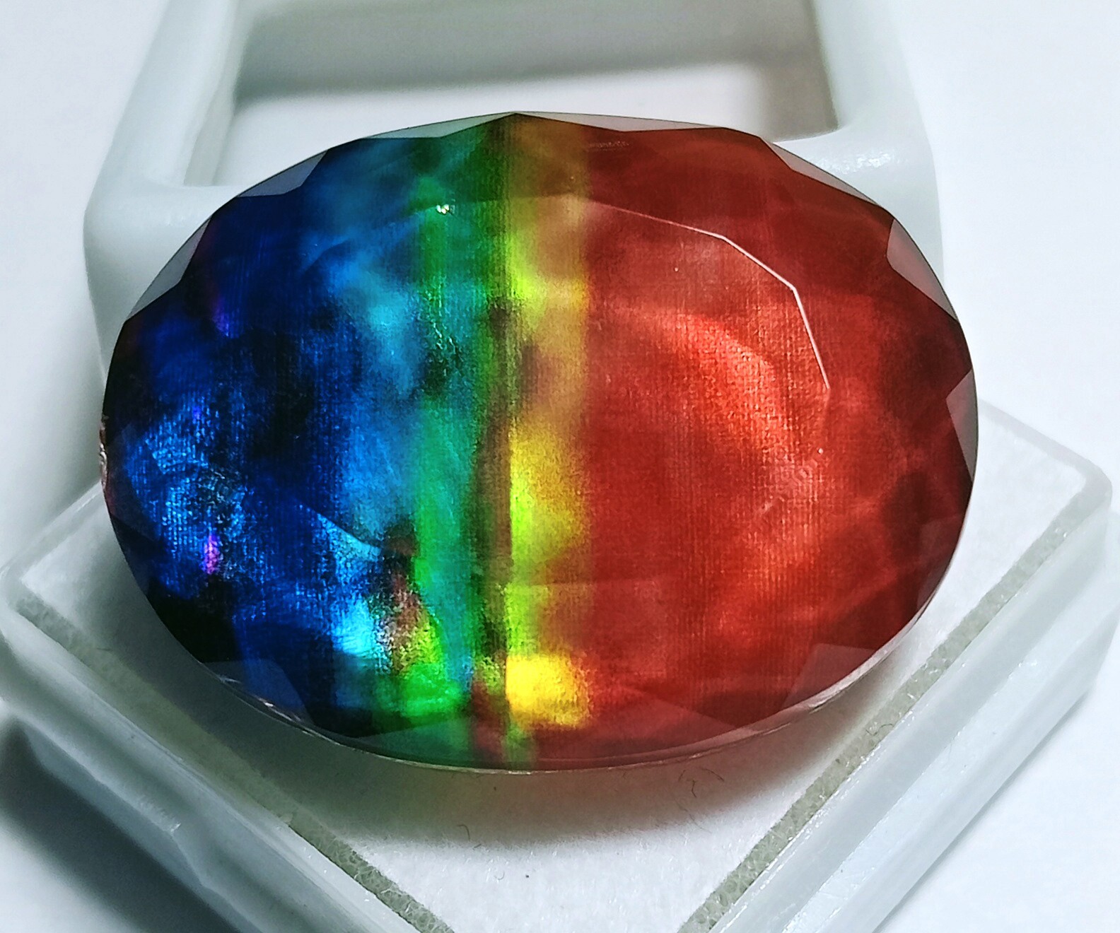 EGL Certified Doublet 40+ Ct Natural Ammolite Opal-Like Organic Loose Gemstone