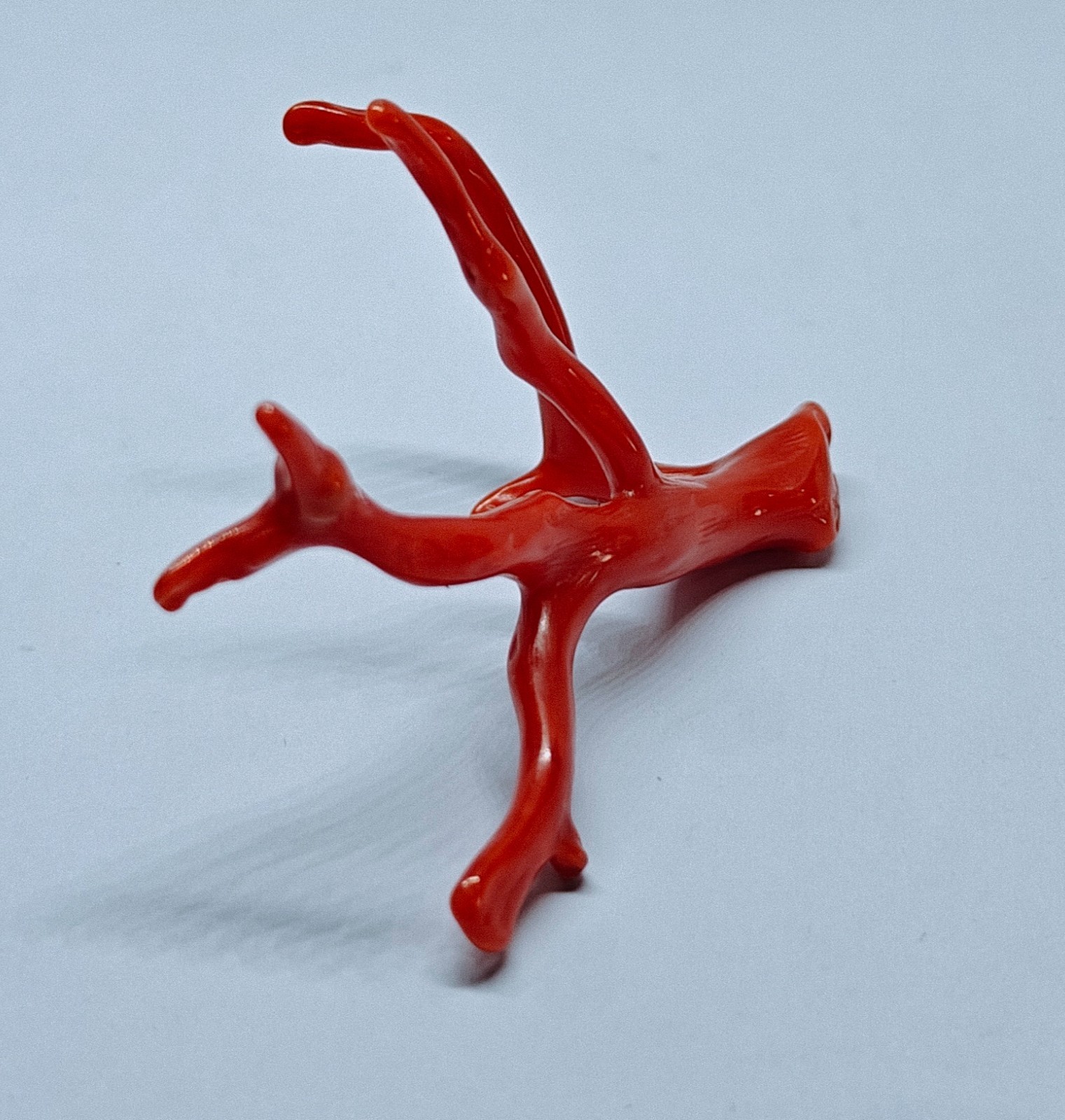 Italy Red Coral Polished Branch Loose Natural Gemstone Rough Mediterranean 18 Ct