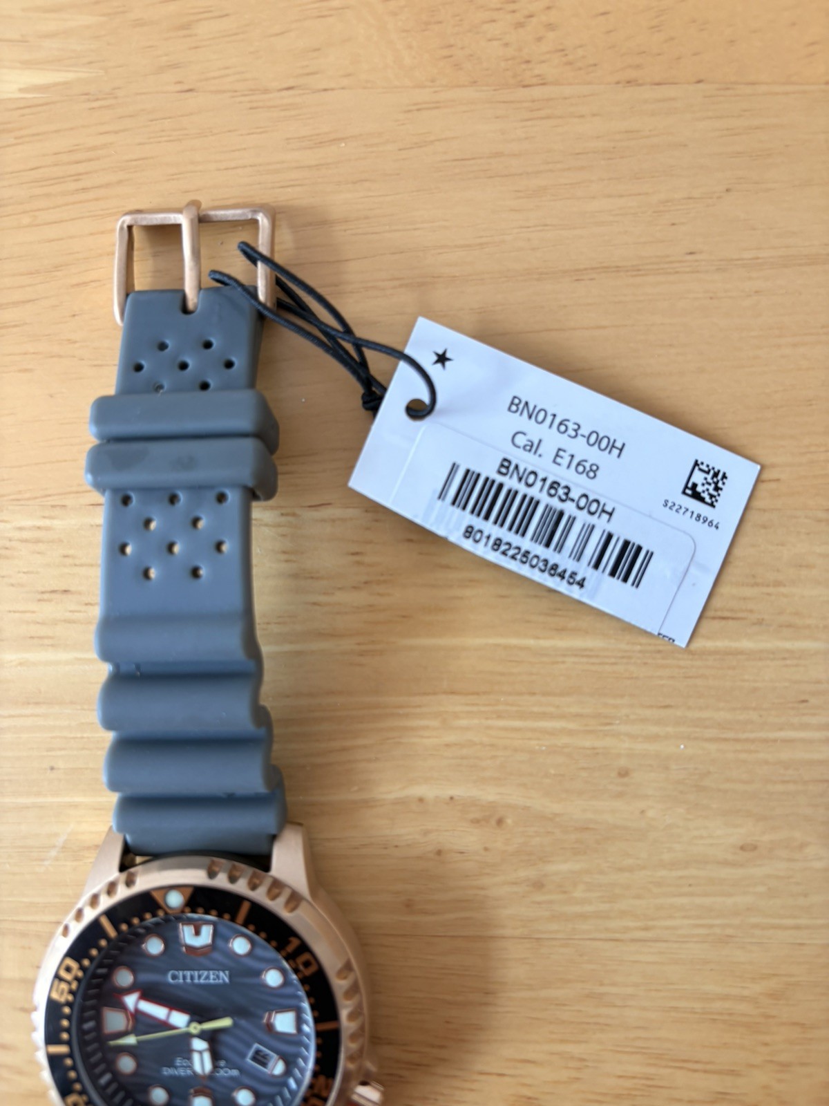 CITIZEN BN0163-00H Promaster Eco Drive Diver’s 200