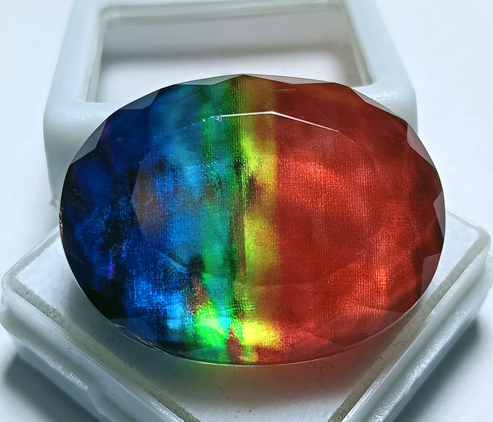 EGL Certified Doublet 40+ Ct Natural Ammolite Opal-Like Organic Loose Gemstone
