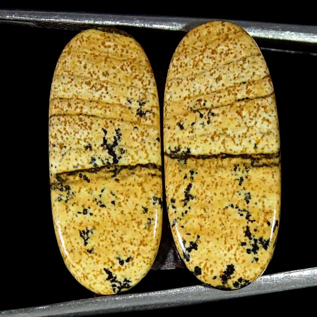 15.80Cts Natural Picture Jasper Cabochon Loose Gemstone Pair 10x24x3mm Oval