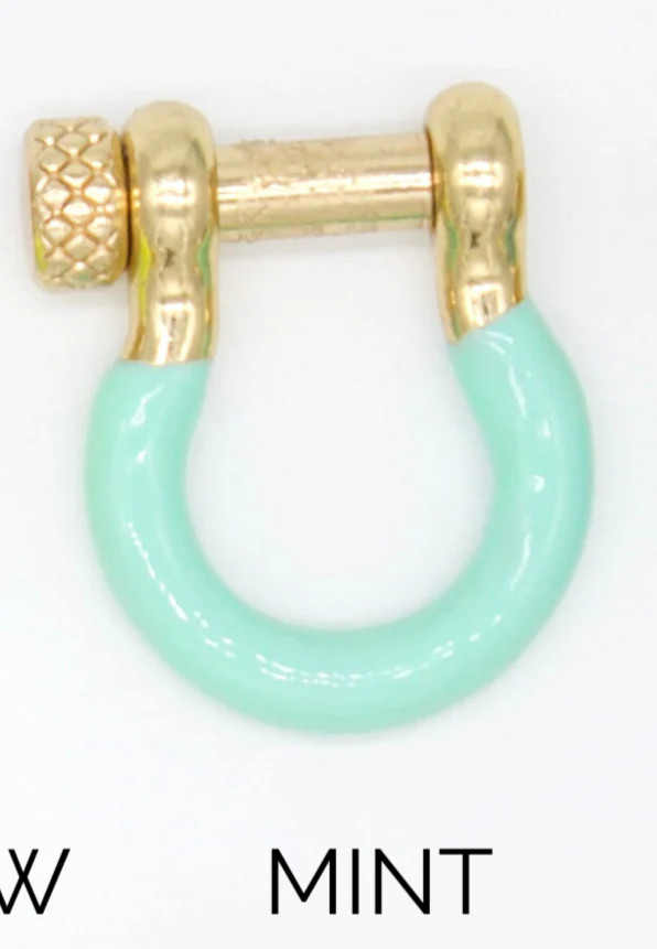 Enamel Colored Carabiner (XX14)
