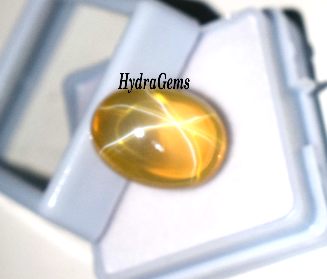 Natural Golden Yellow Star Sapphire 12Ct Cabochon 6Ray Asterism Rare Pukhraj Gem