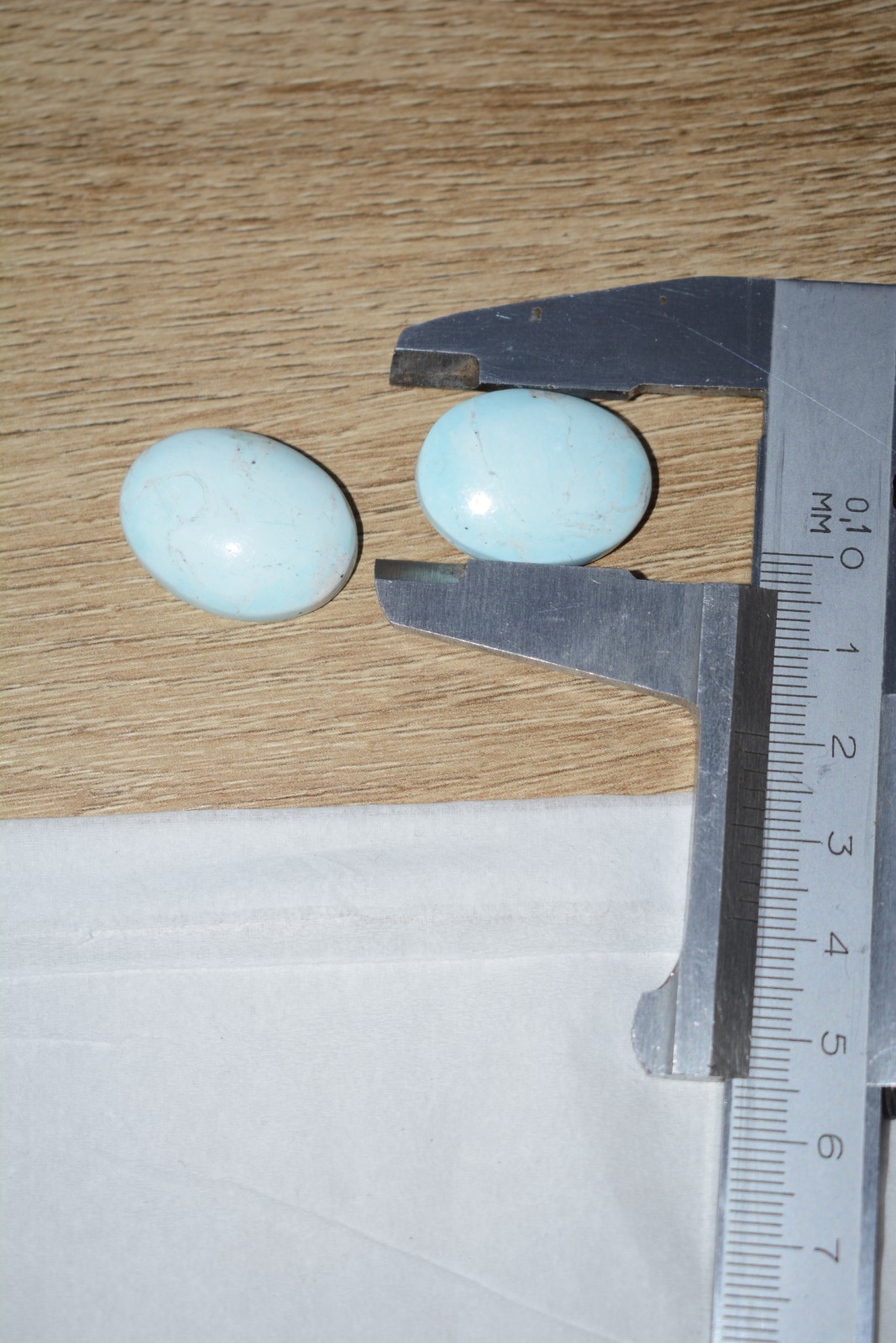 Rare Natural Armenian Turquoise Pair – 35.5 Carats, 2 in 1 lot