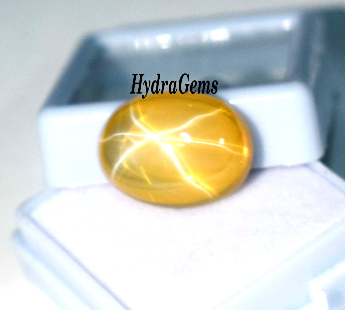 Natural Golden Yellow Star Sapphire 12Ct Cabochon 6Ray Asterism Rare Pukhraj Gem