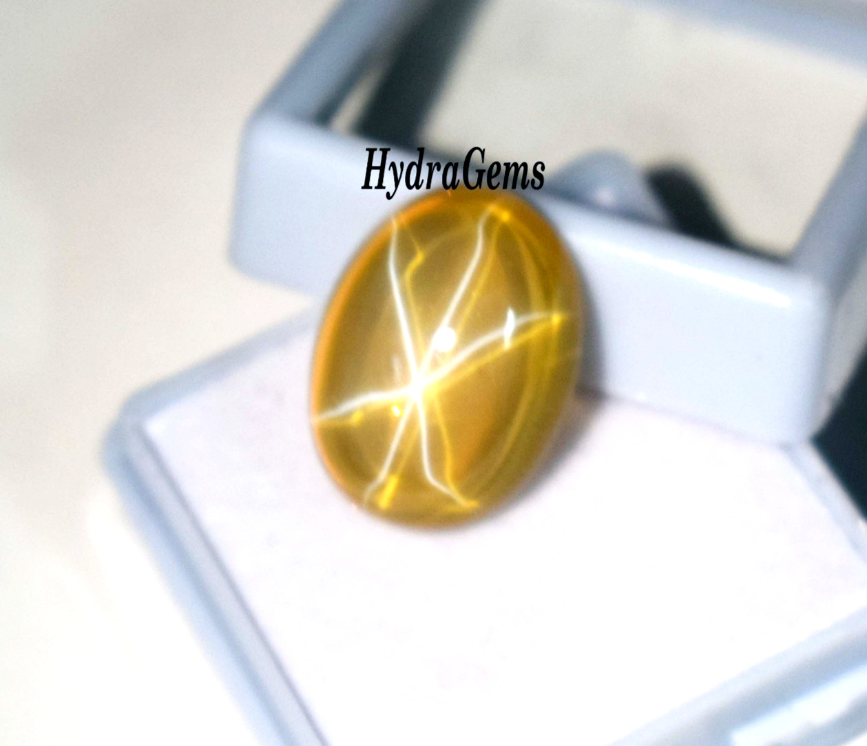 Natural Golden Yellow Star Sapphire 12Ct Cabochon 6Ray Asterism Rare Pukhraj Gem
