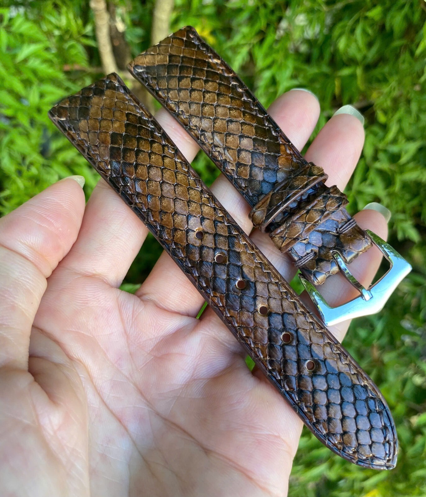 Genuine Snake Skin Watch Strap Band size14 15 16 17 18 19 20 21 22 23 24 25 26mm