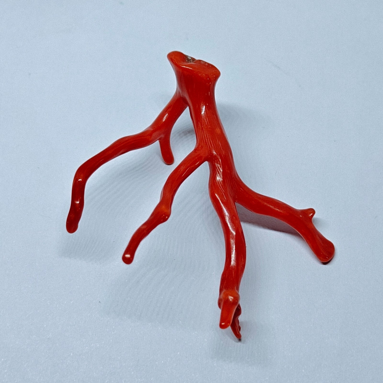 Italy Red Coral Polished Branch Loose Natural Gemstone Rough Mediterranean 18 Ct