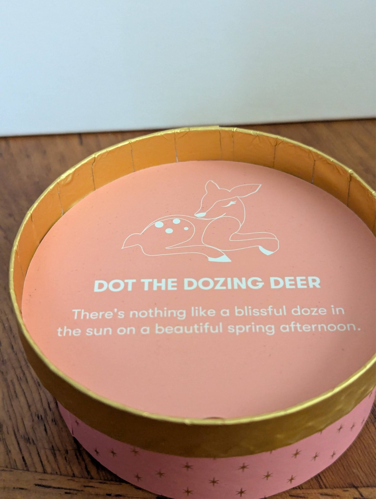 Erstwilder Dot The Dozing Deer Resin Brooch Lucky Dip Exclusive 2023 NWT