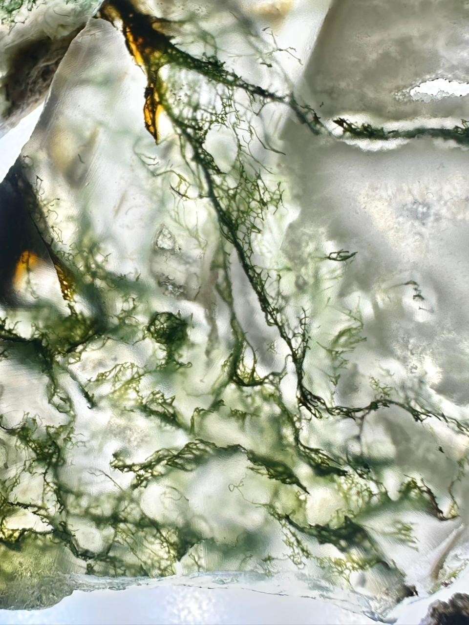 Top Quality Natural Moss Agate Slices: Wholesale Bulk Slabs (2.5-4 Inch)