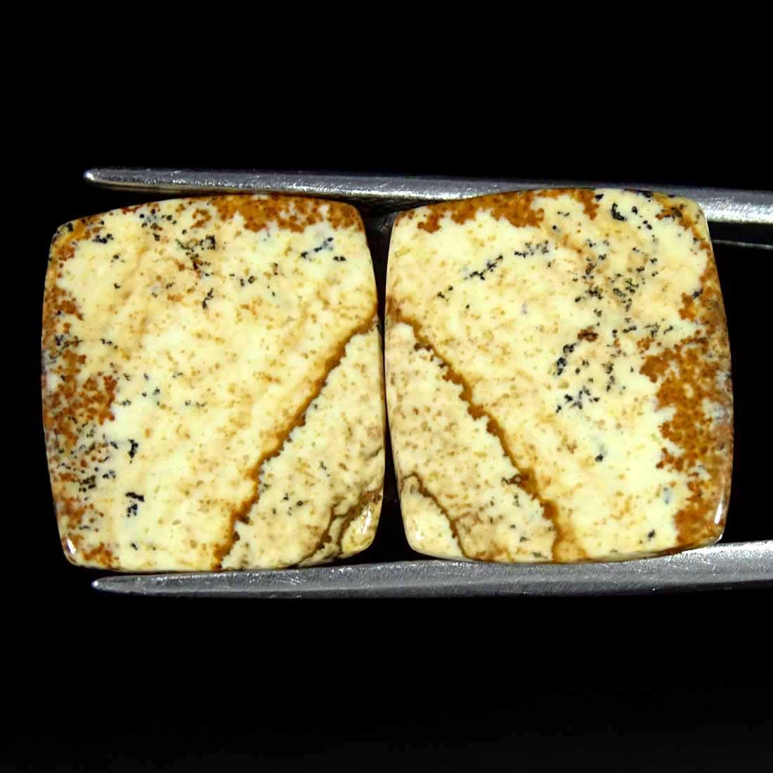 14.40Cts Natural Picture Jasper Cabochon Loose Gemstone Pair 15x16x3mm Cushion