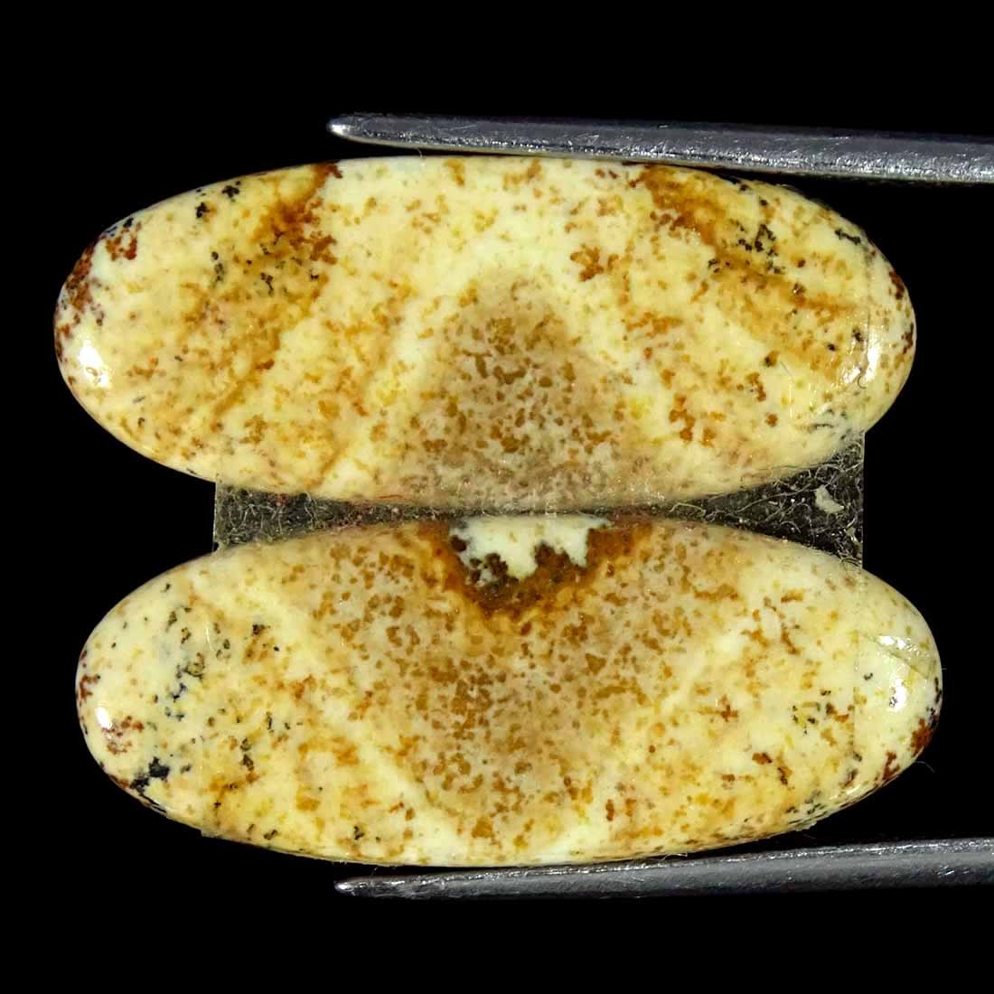 13.70Cts Natural Picture Jasper Cabochon Loose Gemstone Pair 10x24x3mm Oval