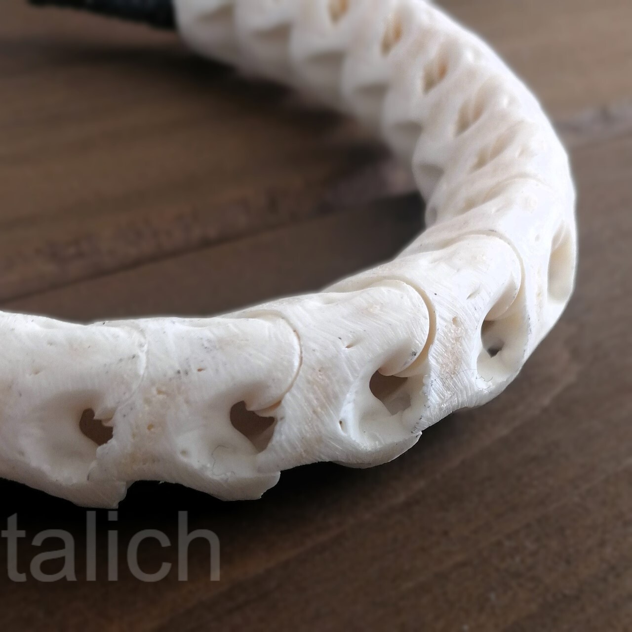 Real Snake Vertebrates Bone Hand Braided Bracelet White Adjustable Unisex Cool