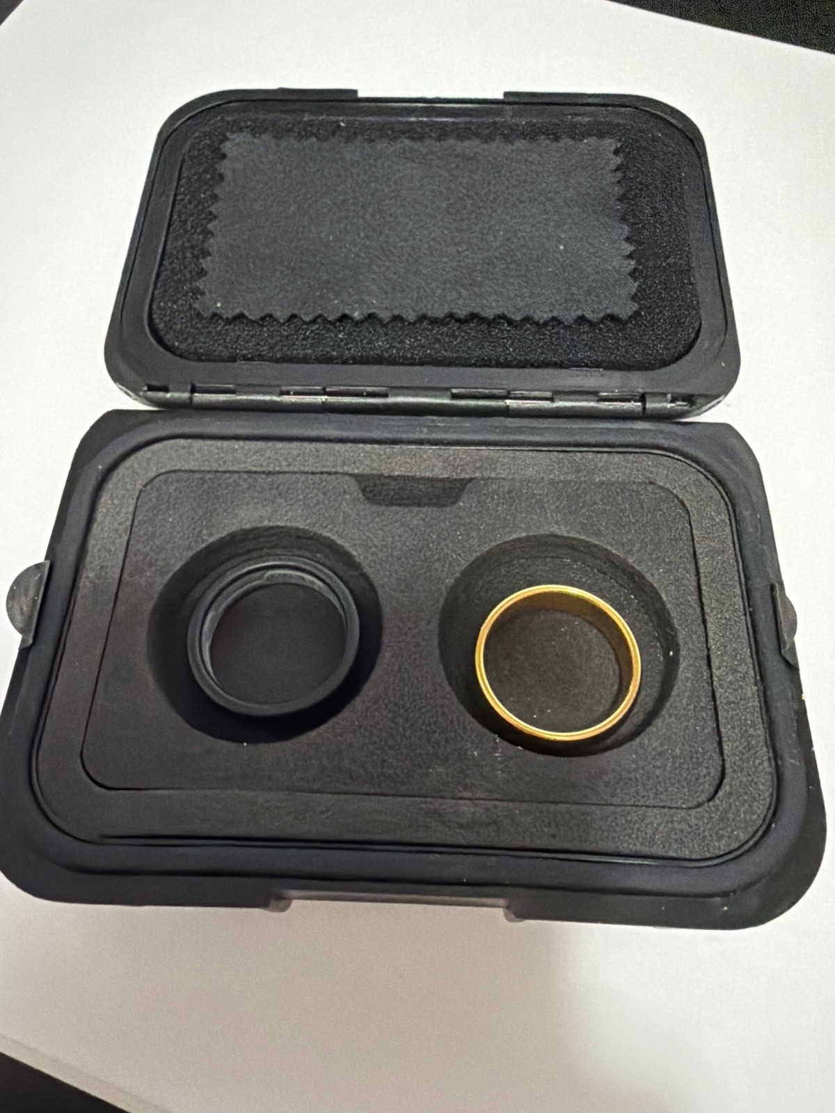 Ridge 6mm 24K Gold | Tantalum Rounded Ring
