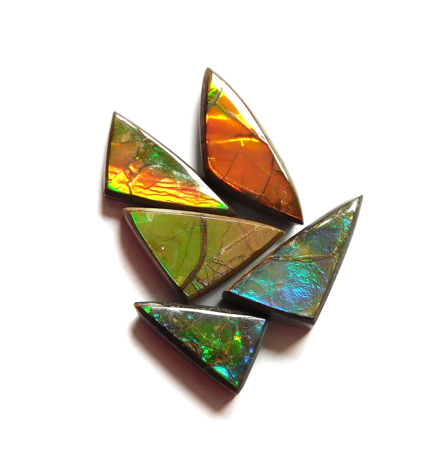 16.40 Cts Natural Ammolite 5 Pcs Lot Loose Cabochon Gemstone CL25