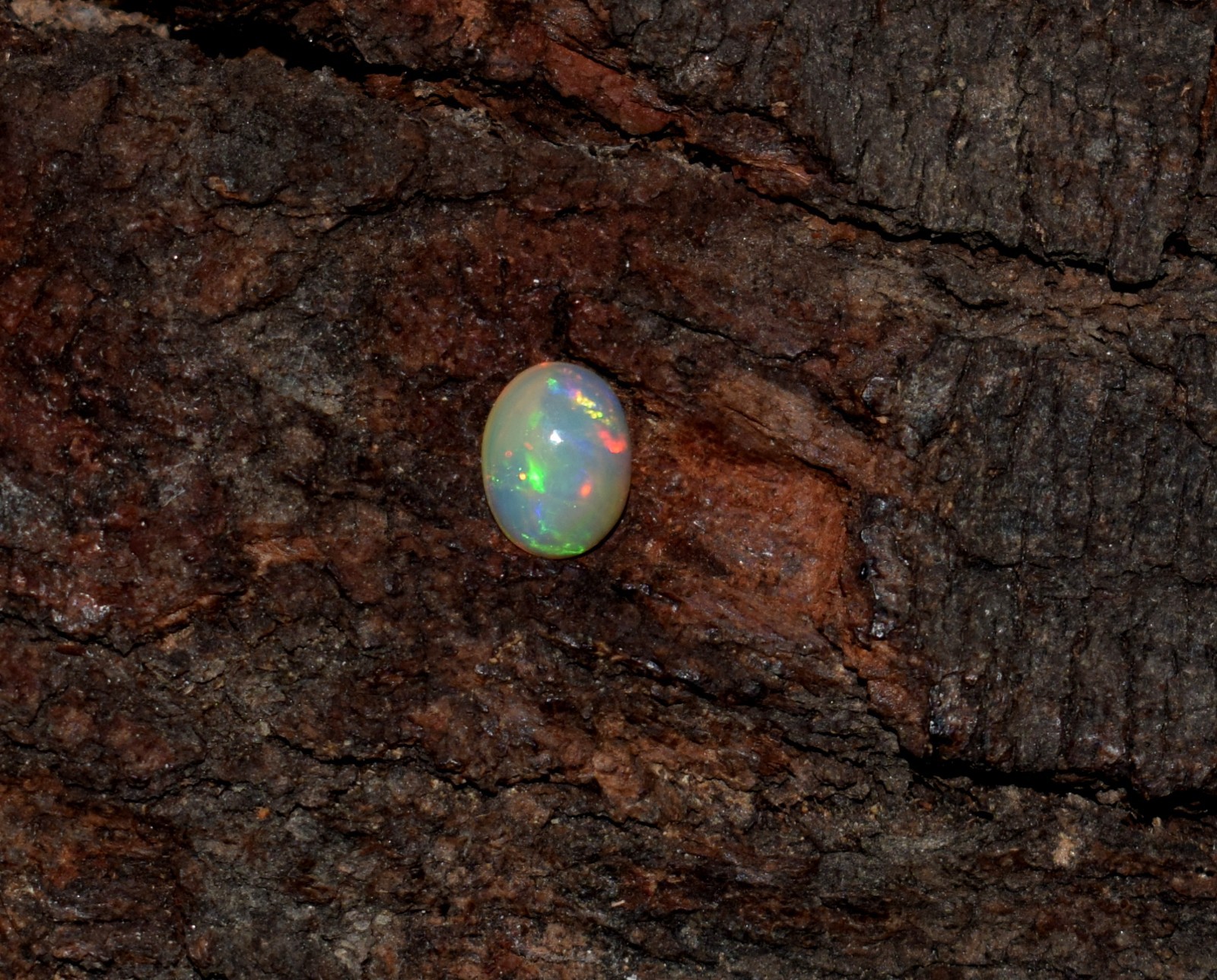 AAA Natural Ethiopian Wello Fire Opal Cabochon Loose Gemstone 6X8mm A30