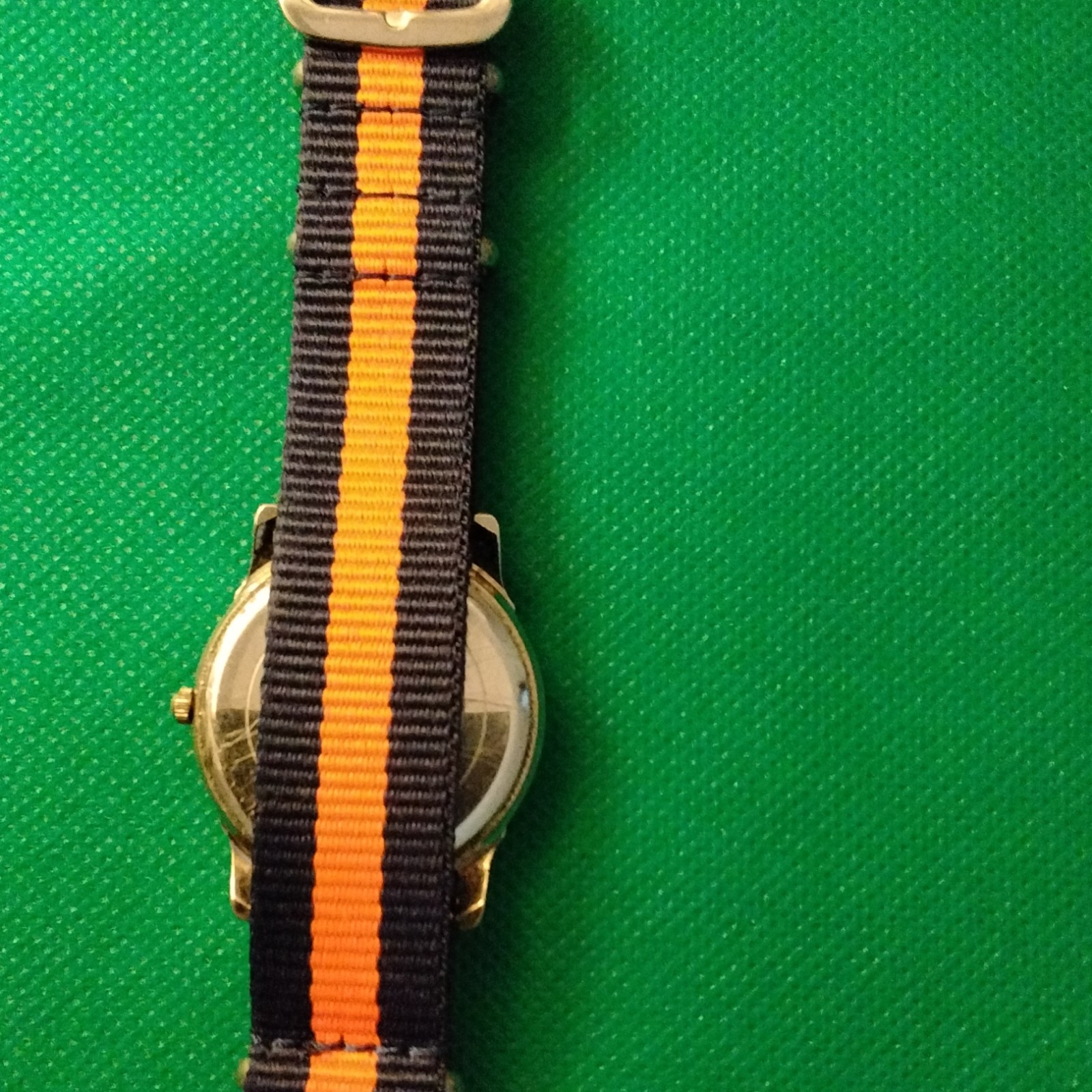 Save the Animals Analog Watch Silver Case Blue/Orange Nylon Strap