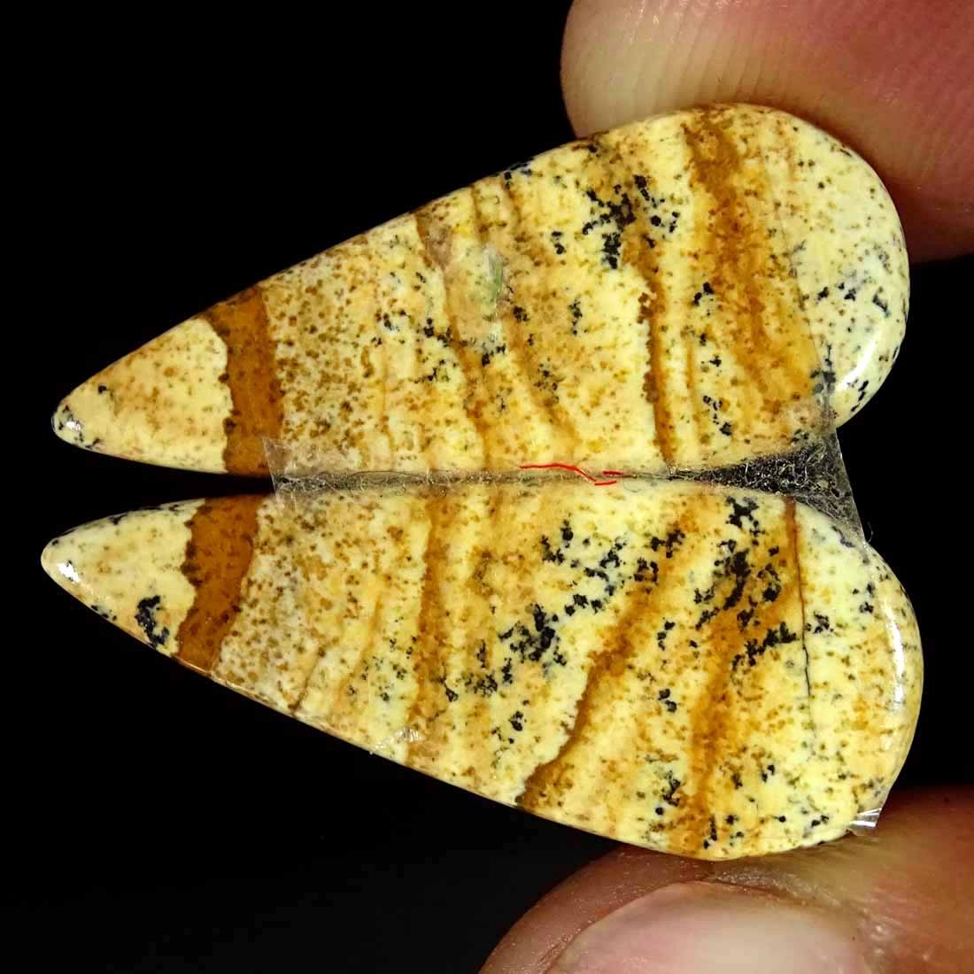 14.90Cts Natural Picture Jasper Cabochon Loose Gemstone Pair 12x28x2mm Pear