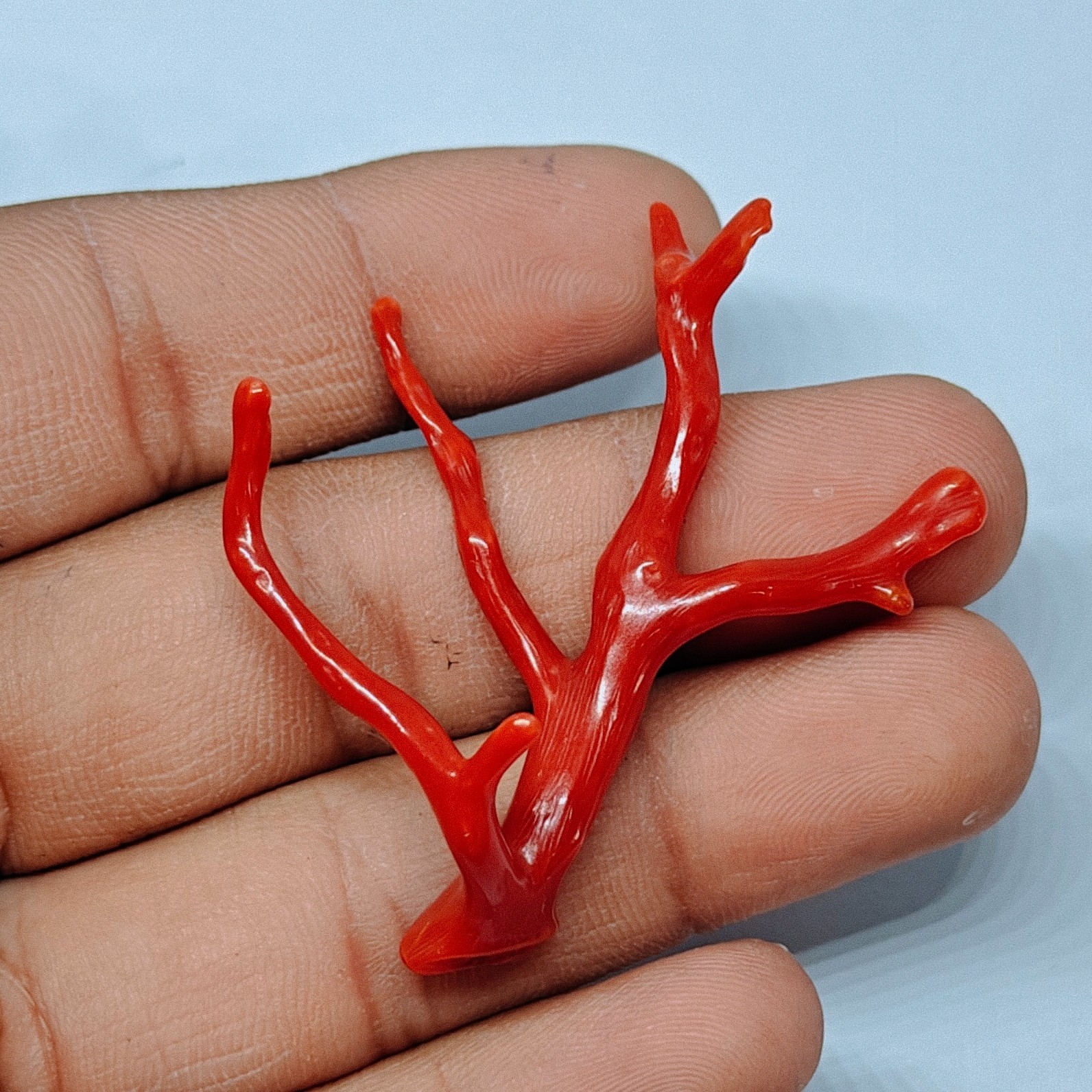 Italy Red Coral Polished Branch Loose Natural Gemstone Rough Mediterranean 18 Ct