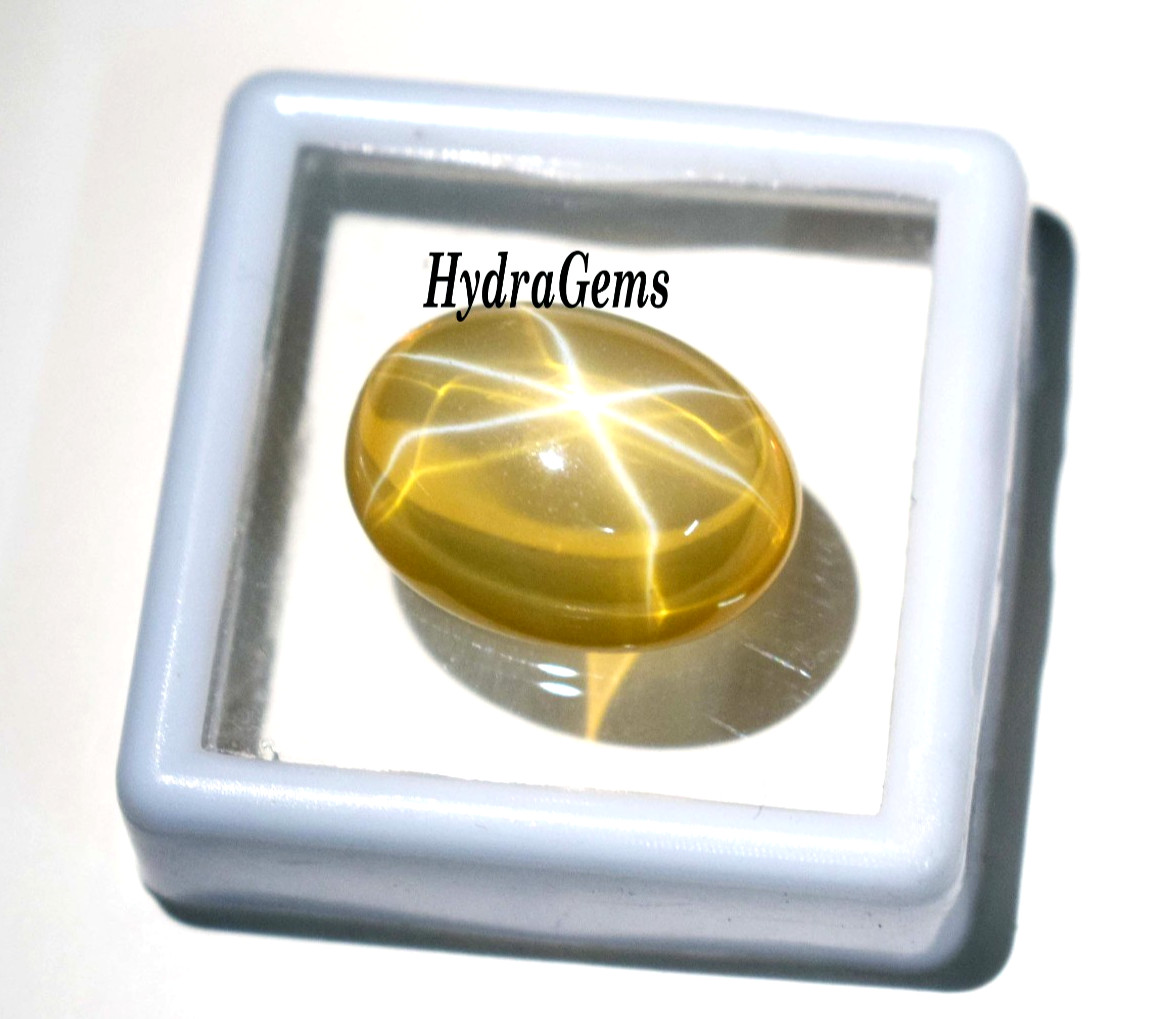 Natural Golden Yellow Star Sapphire 12Ct Cabochon 6Ray Asterism Rare Pukhraj Gem