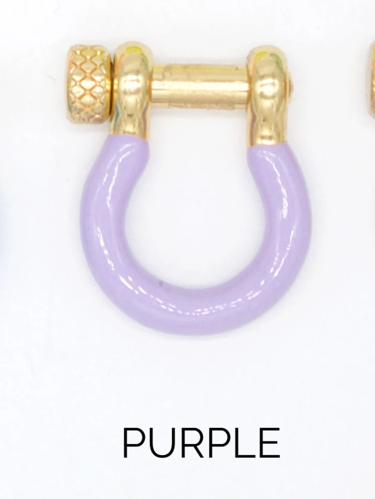 Enamel Colored Carabiner (XX14)