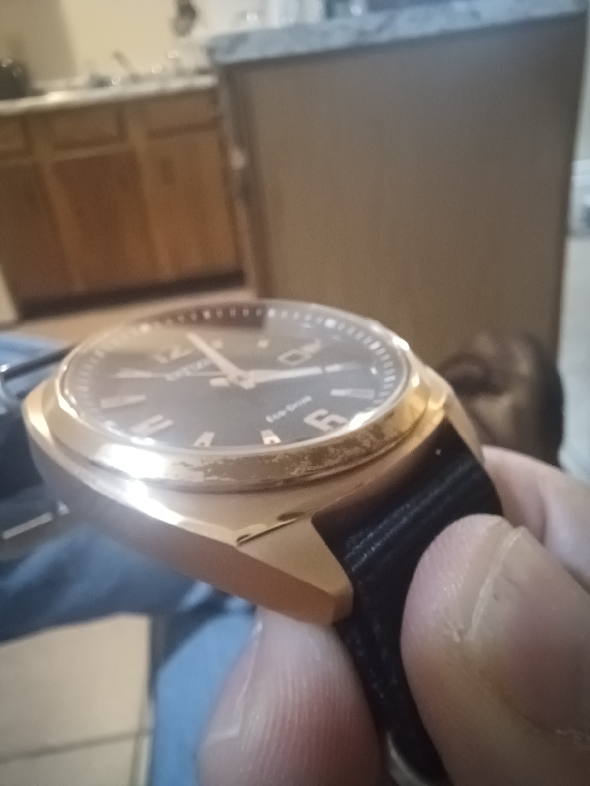 Citizen Endicott used