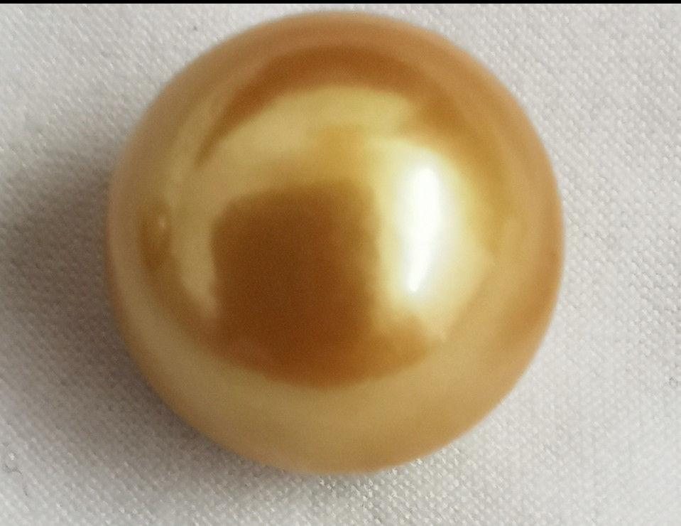Huge 17mm Natural South Sea Genuine Gold Golden Round Loose Pearl Undrilled 672