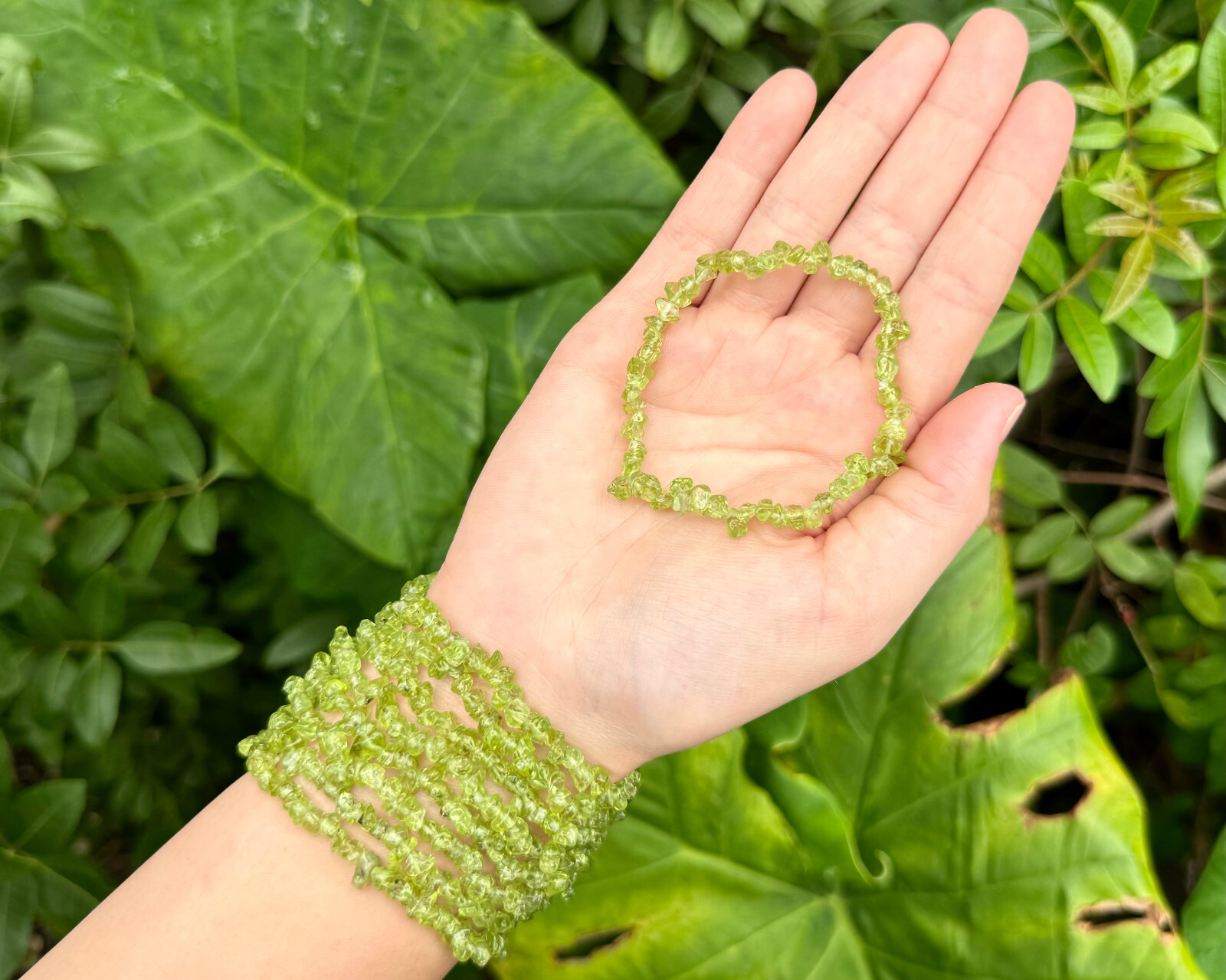 Peridot Chip Bracelet, Stretch: Raw Natural Peridot Crystals (US SELLER)