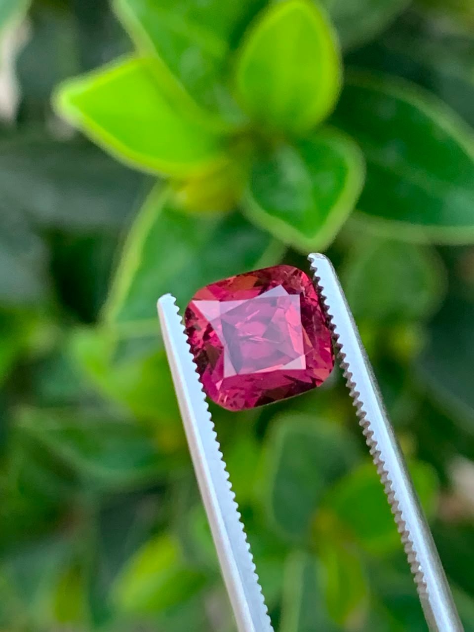 Natural Afghan Tourmaline 2.20 Ct Unheated Untreated Gemstone 7x6mm