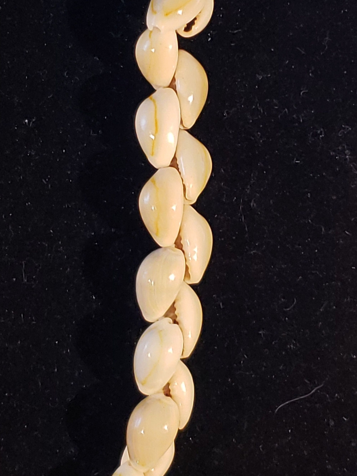 Vintage Unsigned Cowry/Cowrie Shell 17″ Long Strand Chunky Statement Necklace