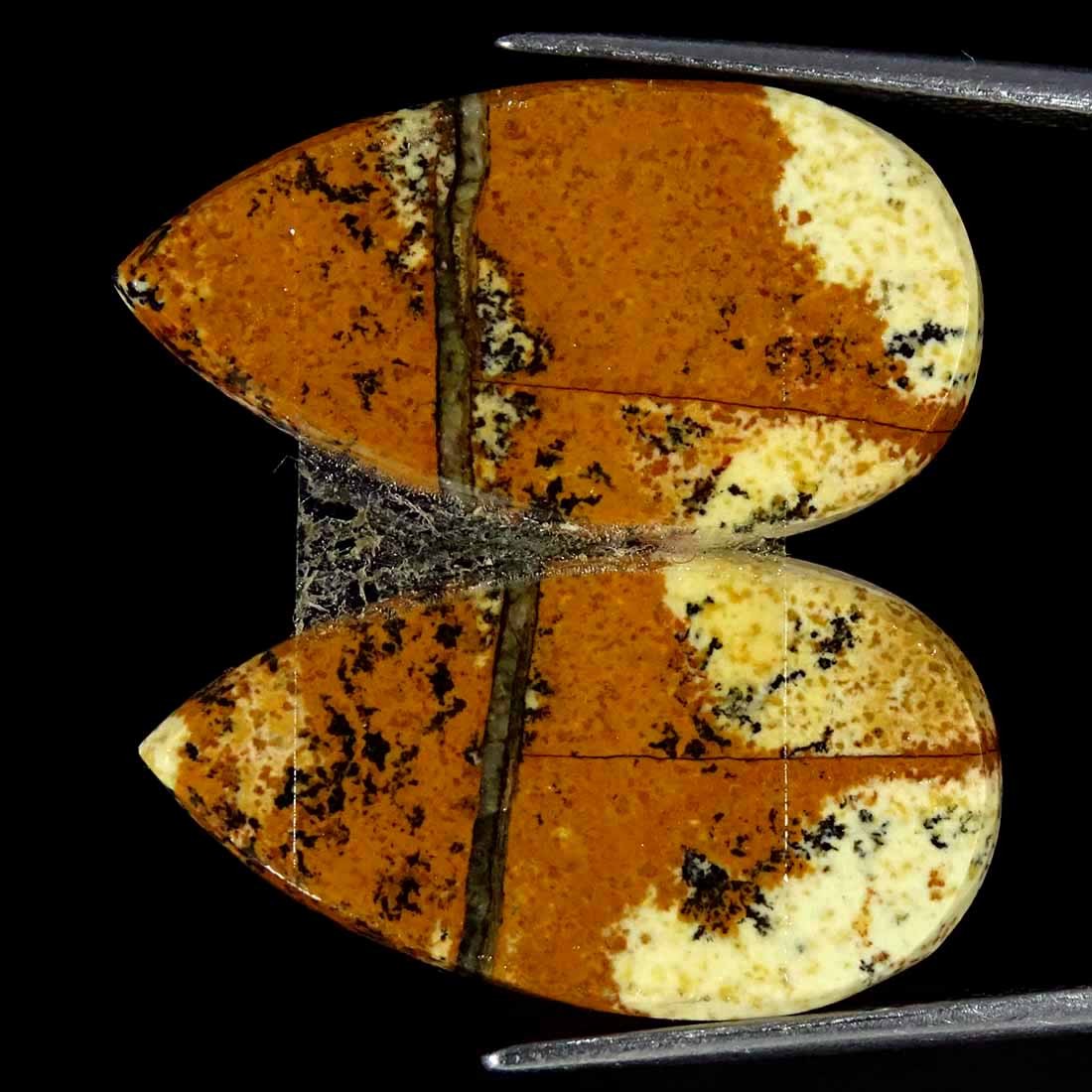 20.80Cts Natural Picture Jasper Cabochon Loose Gemstone Pair 13x24x4mm Pear