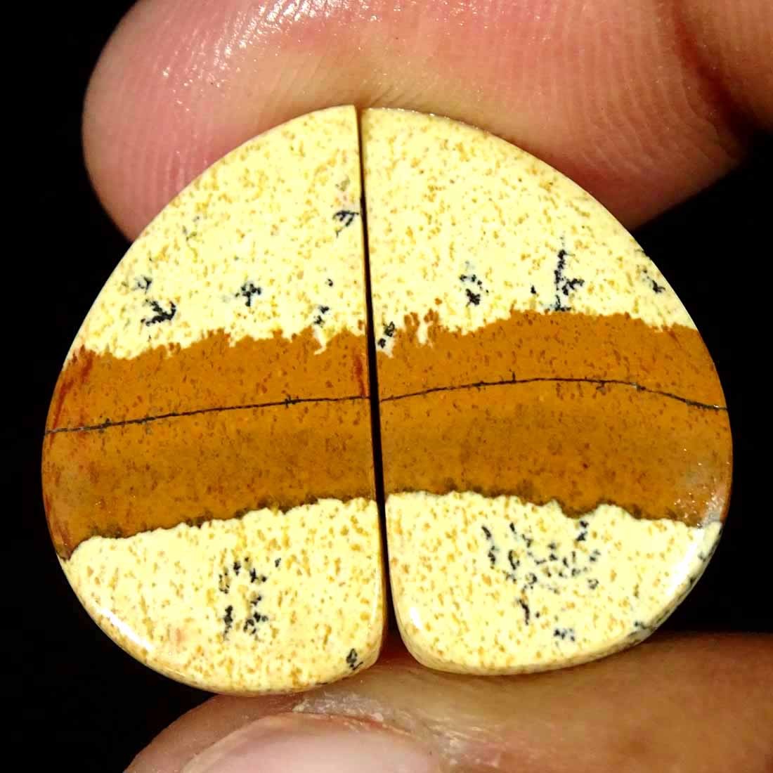 17.80Cts Natural Picture Jasper Cabochon Loose Gemstone Pair 12x22x4mm Fancy