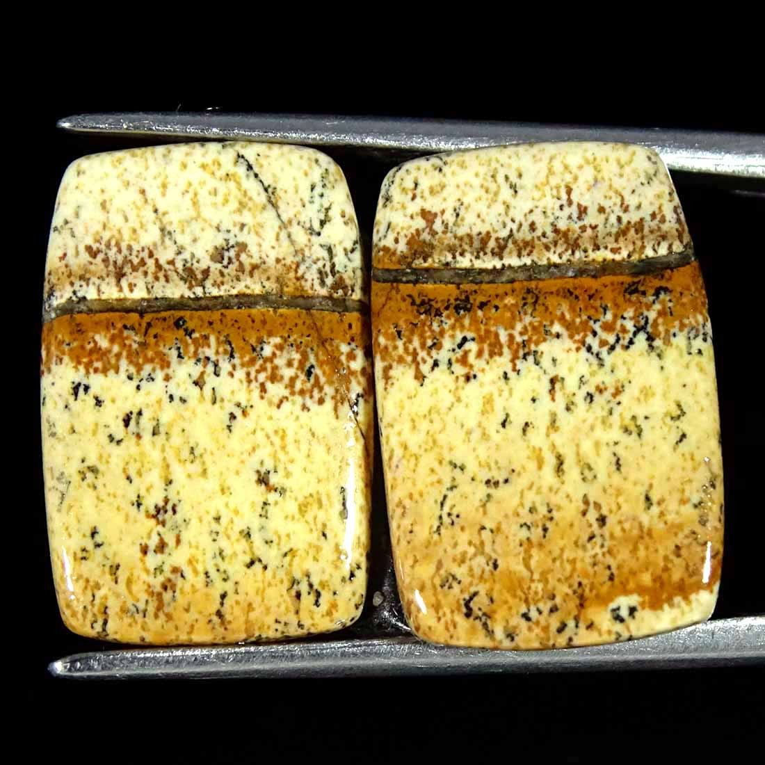 11.80Cts Natural Picture Jasper Cabochon Loose Gemstone Pair 11x17x3mm Cushion