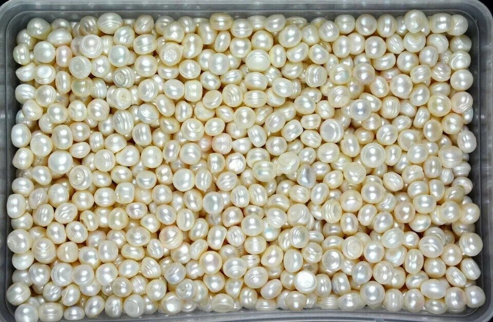 1000 Ct./ Australian White Pearl Loose Gemstone Lot Natural Round Cut Certified