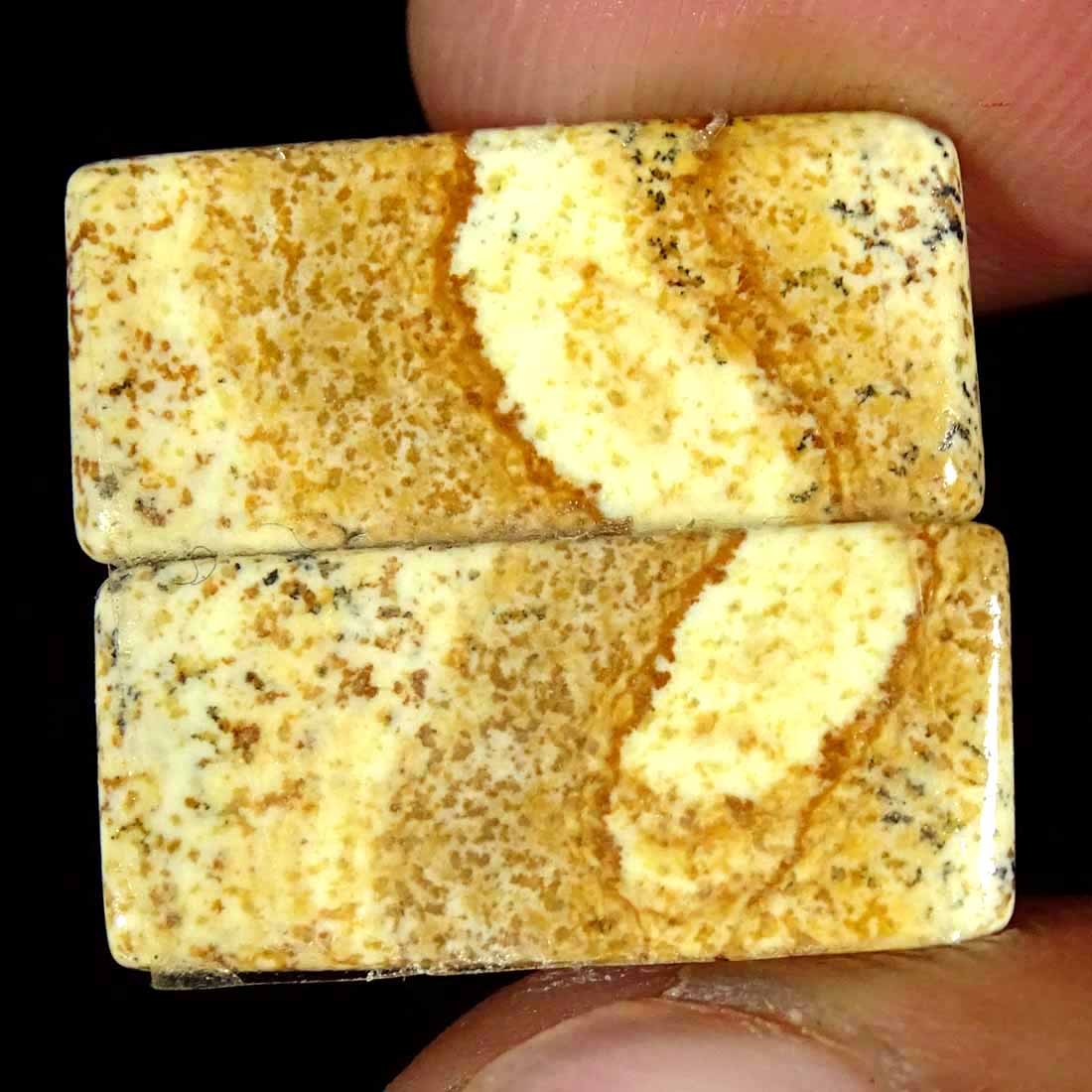 13.10Cts Natural Picture Jasper Cabochon Loose Gemstone Pair 10x21x3mm Cushion