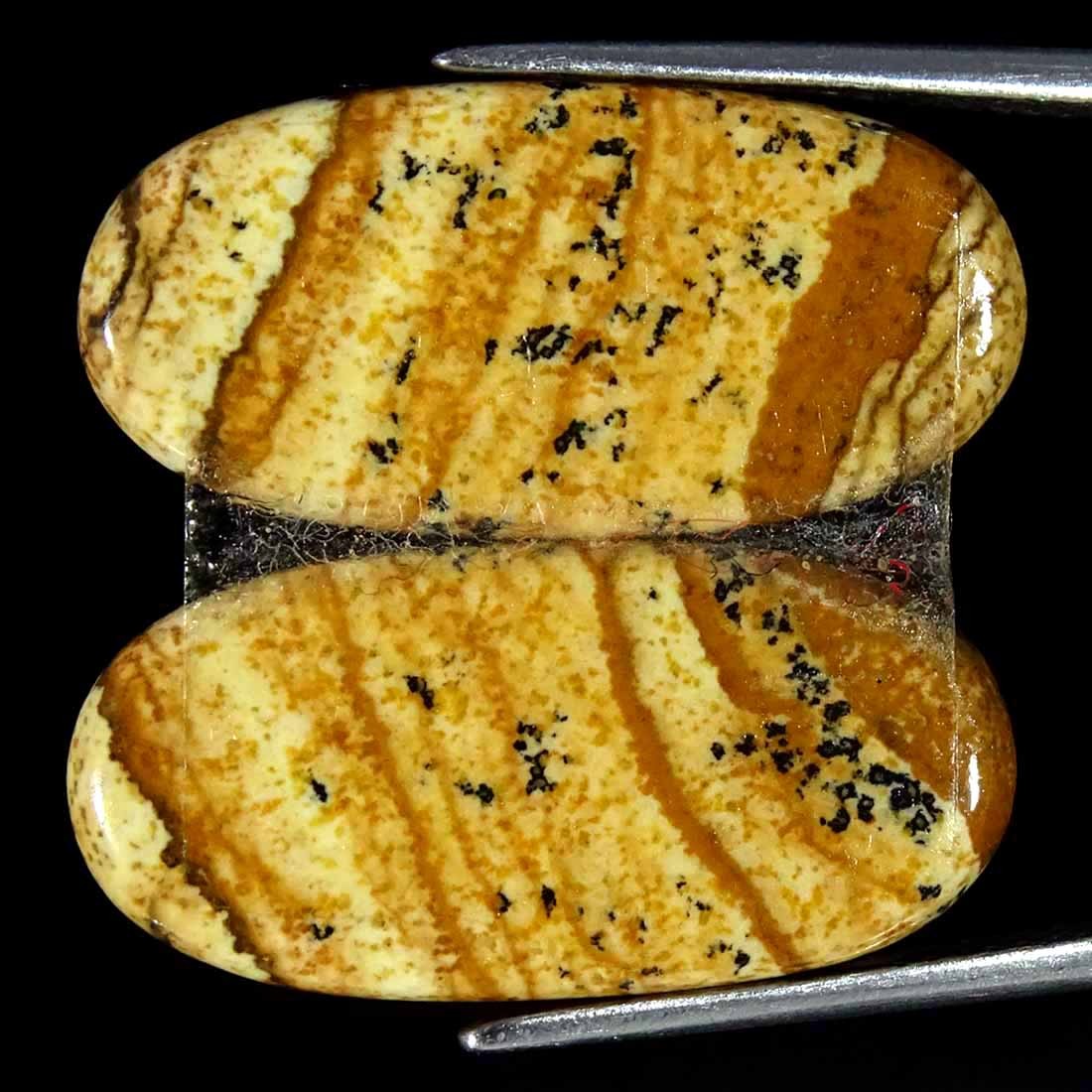 12.80Cts Natural Picture Jasper Cabochon Loose Gemstone Pair 11x23x3mm Oval