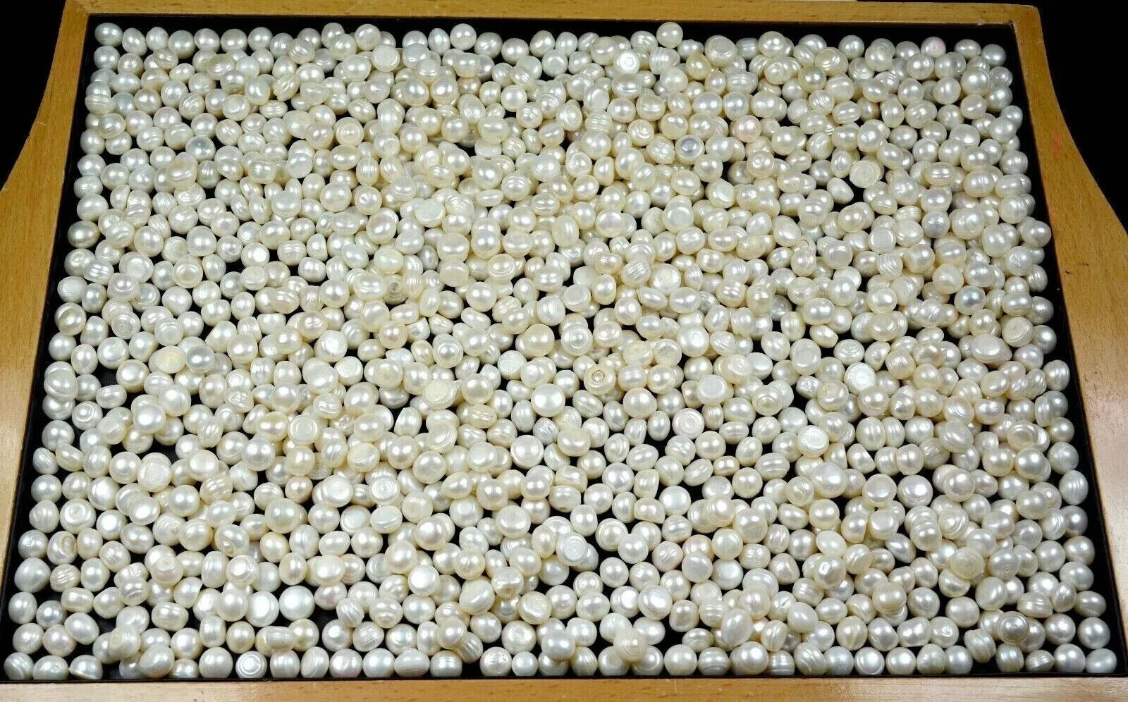 1000 Ct./ Australian White Pearl Loose Gemstone Lot Natural Round Cut Certified