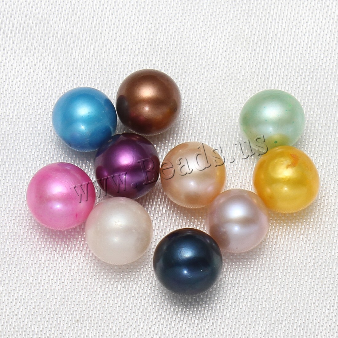 10x Bulk Natural Freshwater Akoya Pearl Oysters Real Pearls Bulk w/ Large Pearl