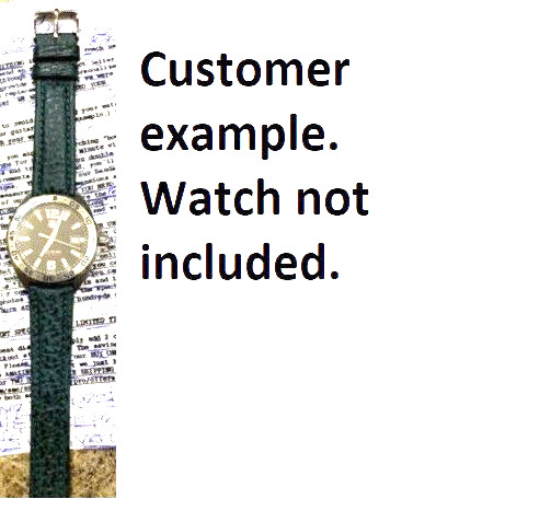 Green Genuine Shark Sharkskin 20mm Regular Padded Watch Band Silver Tone Buckle