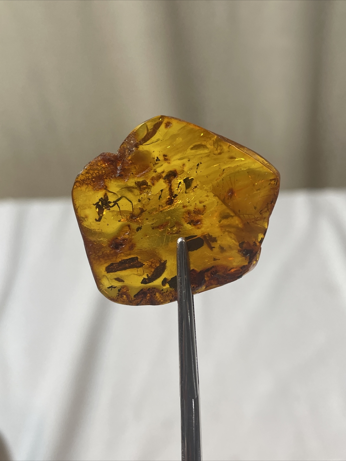 ANTIQUE BALTIC NATURAL AMBER STONE WITH GENUINE FOSSIL SOLD AS PICTURE