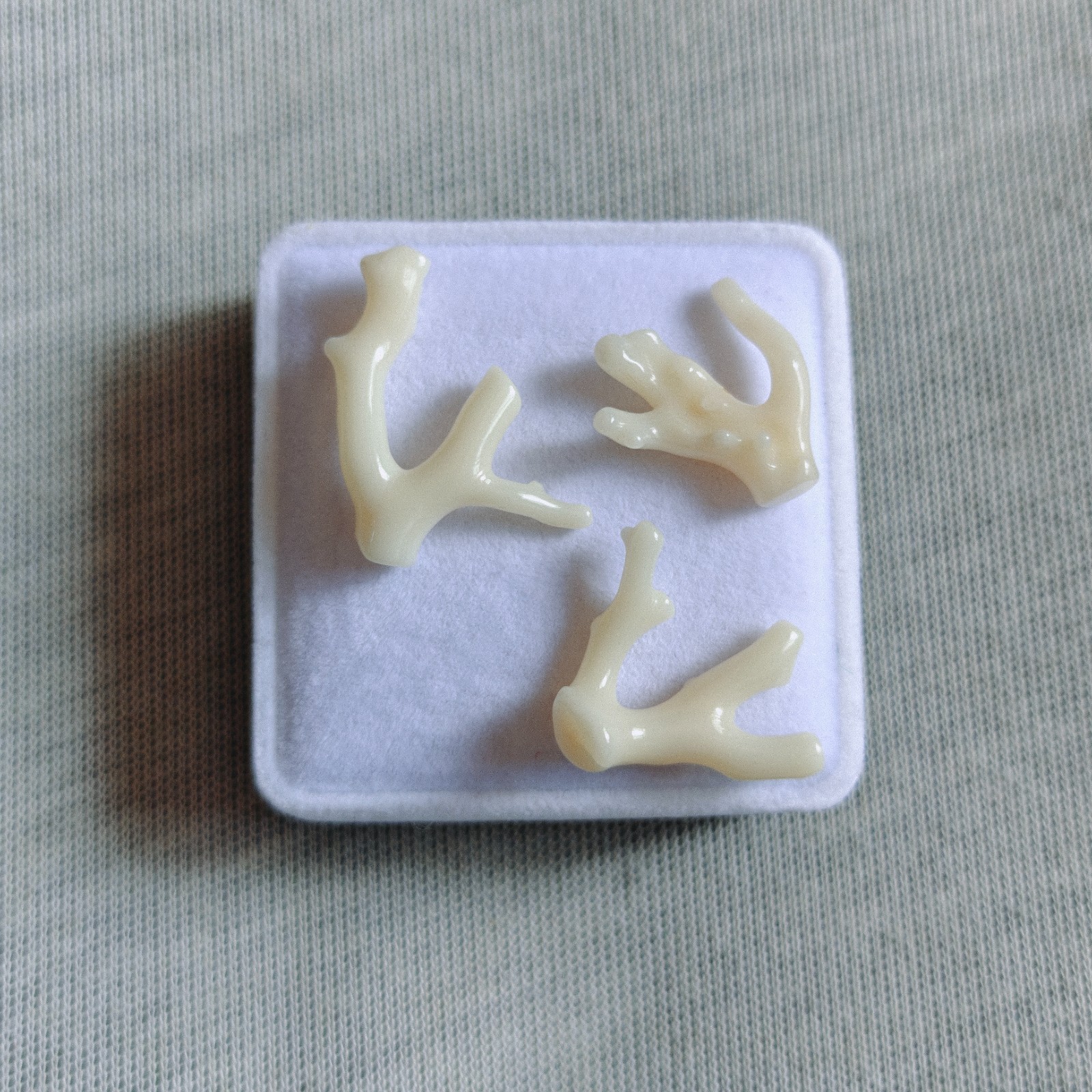 Natural Japanese White Coral Branch Polished Rough Coral Gemstone Specimen