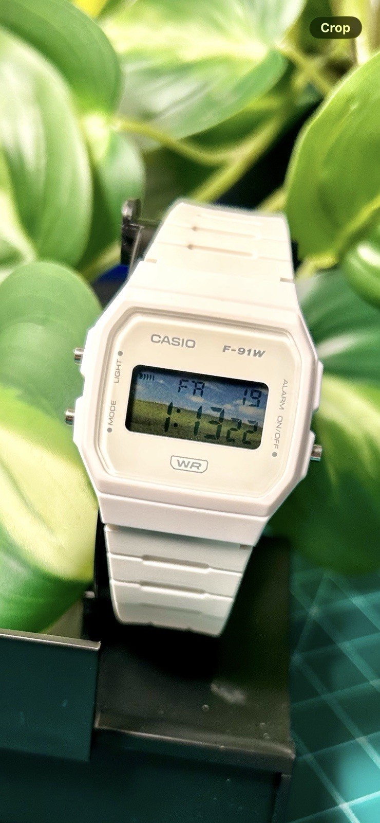 Custom Casio F91W Windows XP Mod