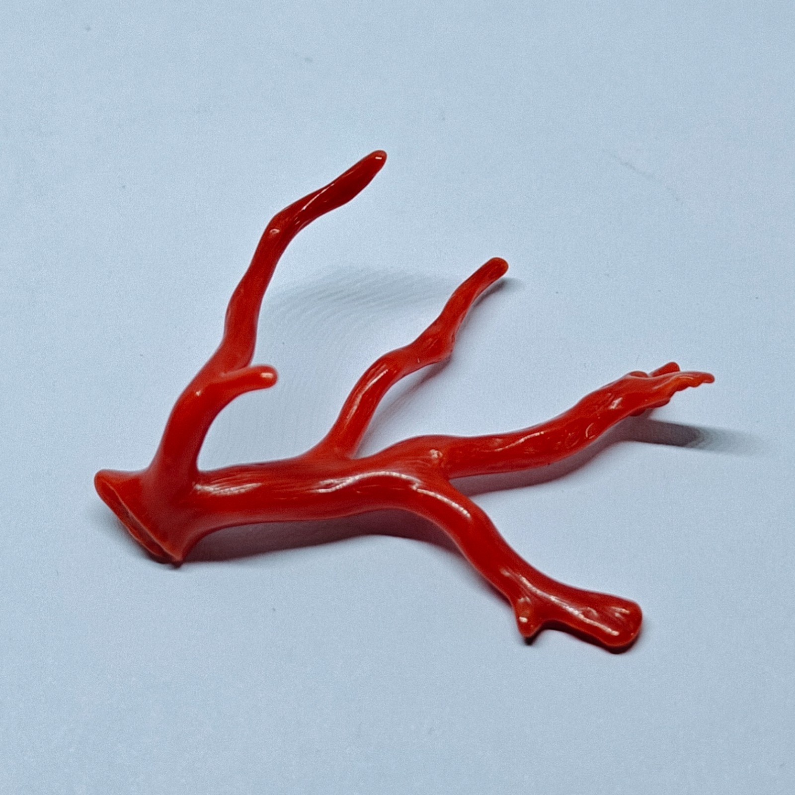 Italy Red Coral Polished Branch Loose Natural Gemstone Rough Mediterranean 18 Ct