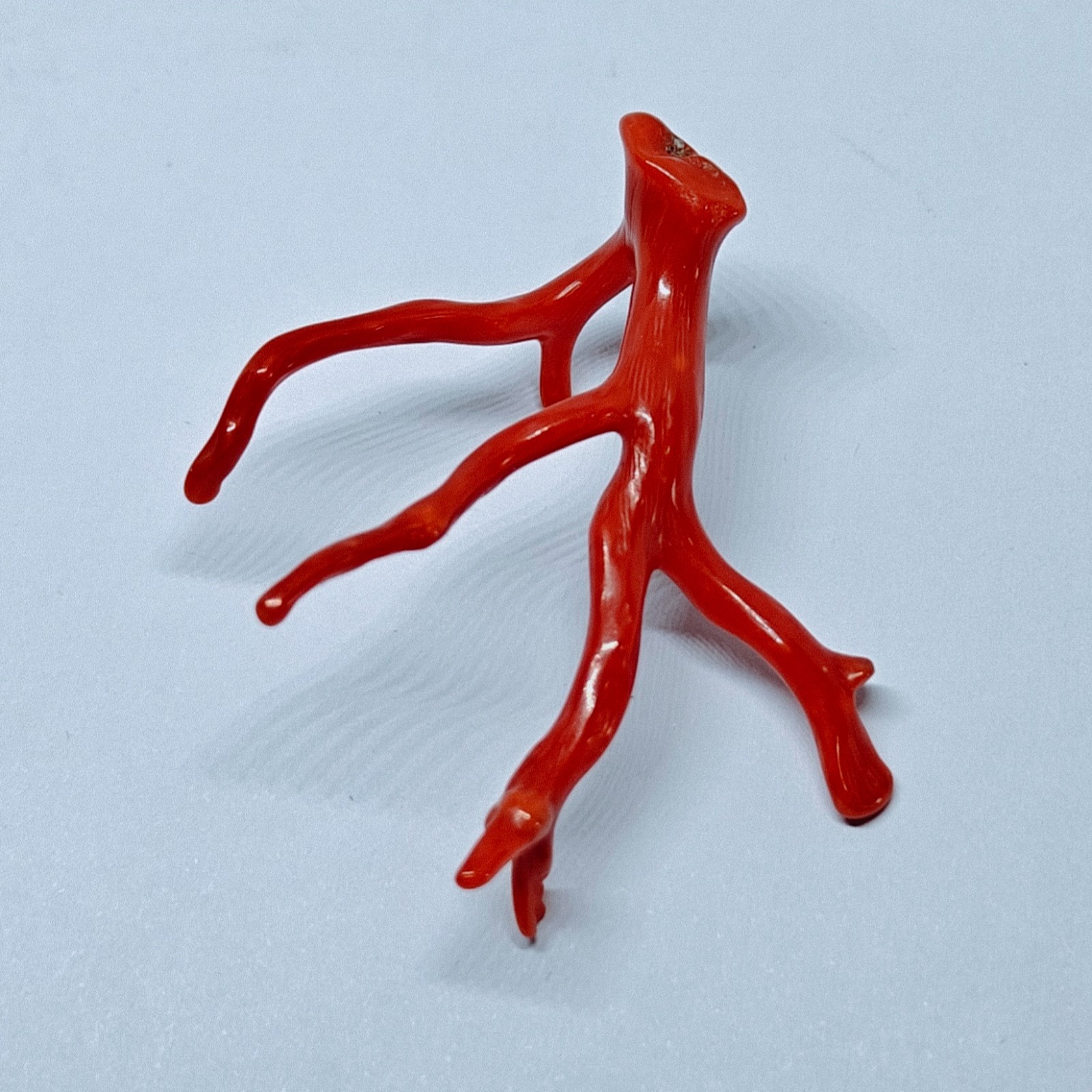 Italy Red Coral Polished Branch Loose Natural Gemstone Rough Mediterranean 18 Ct