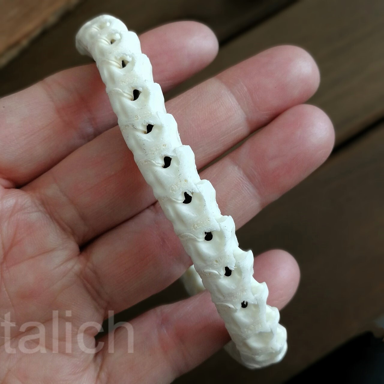 Real Snake Vertebrates Bone Hand Braided Bracelet White Adjustable Unisex Cool