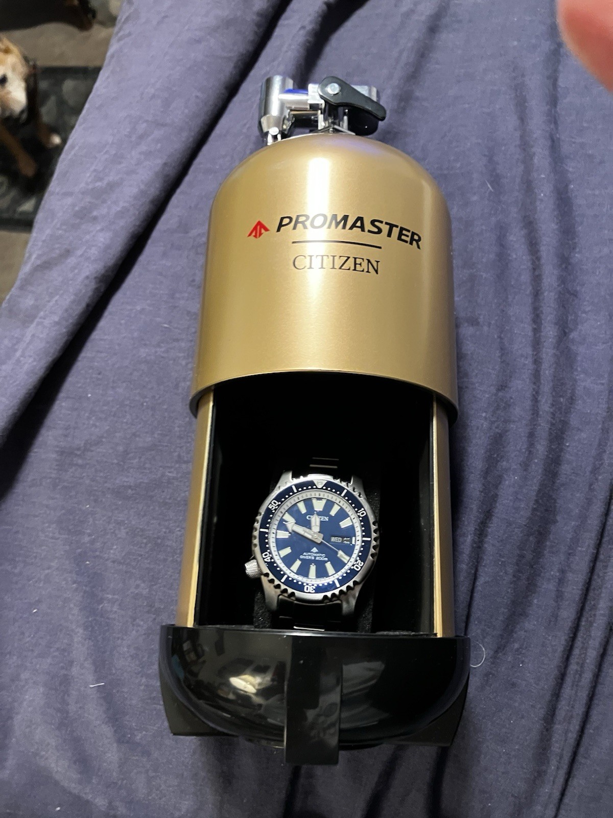 CITIZEN PROMASTER Fugu Pufferfish Diver’s 200m Automatic NY0161-63L Limited Ed