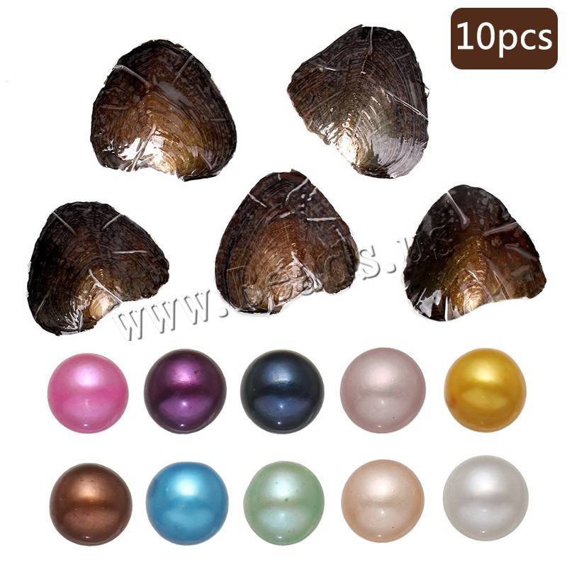 10x Bulk Natural Freshwater Akoya Pearl Oysters Real Pearls Bulk w/ Large Pearl
